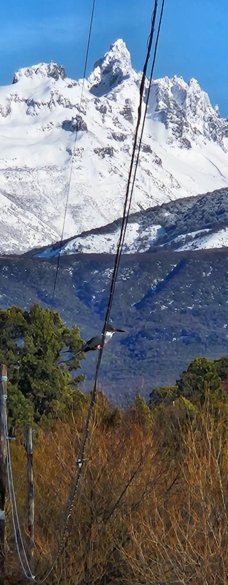 Valle Florido เตรเวลิน ภายนอก รูปภาพ